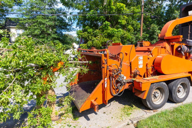 Best Commercial Tree Services  in Wharton, TX